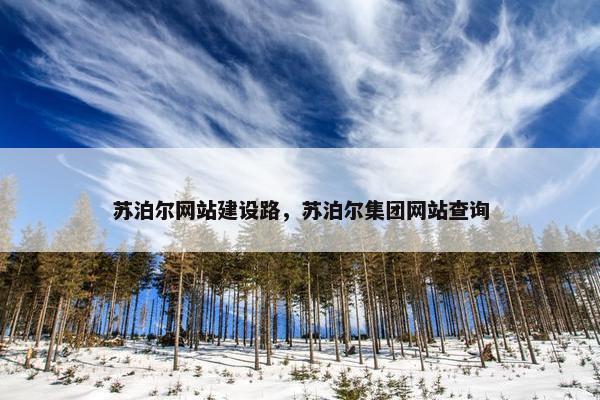 苏泊尔网站建设路，苏泊尔集团网站查询