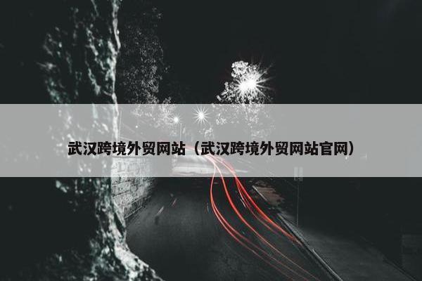 武汉跨境外贸网站（武汉跨境外贸网站官网）
