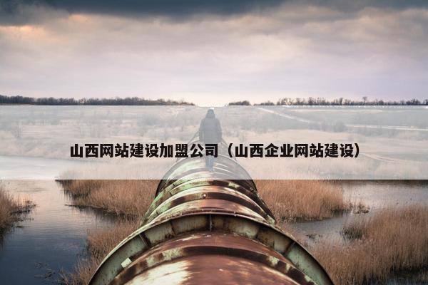 山西网站建设加盟公司（山西企业网站建设）