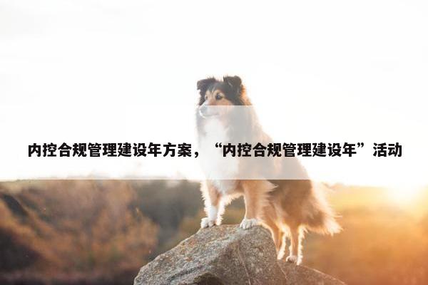 内控合规管理建设年方案，“内控合规管理建设年”活动