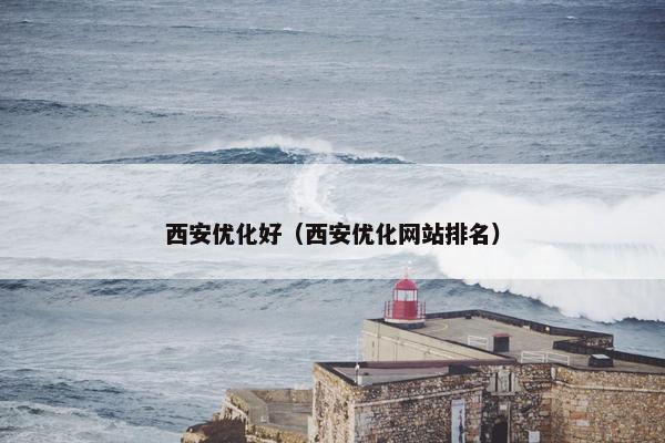 西安优化好（西安优化网站排名）