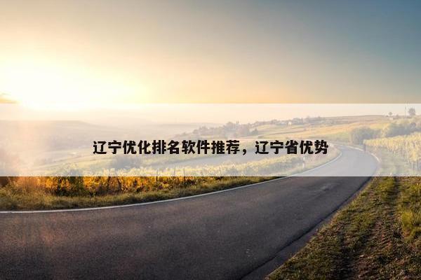 辽宁优化排名软件推荐，辽宁省优势