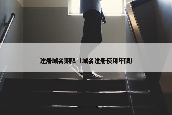 注册域名期限（域名注册使用年限）