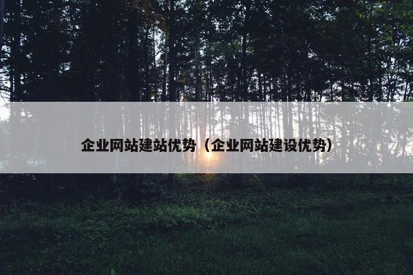 企业网站建站优势（企业网站建设优势）