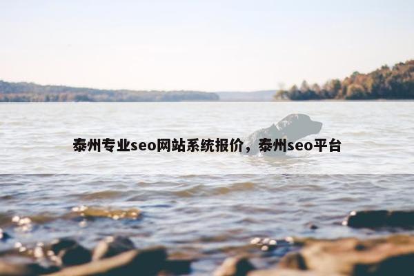 泰州专业seo网站系统报价，泰州seo平台