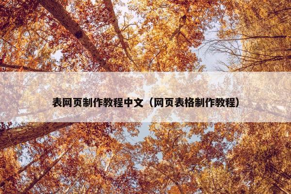 表网页制作教程中文（网页表格制作教程）