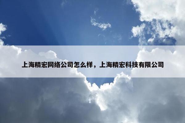上海精宏网络公司怎么样，上海精宏科技有限公司