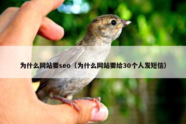 为什么网站要seo（为什么网站要给30个人发短信）