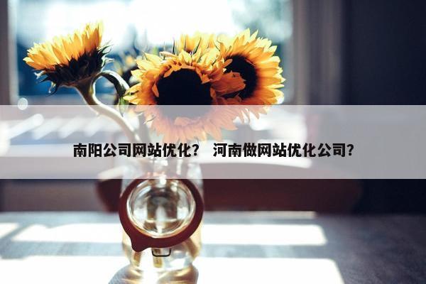 南阳公司网站优化？ 河南做网站优化公司？