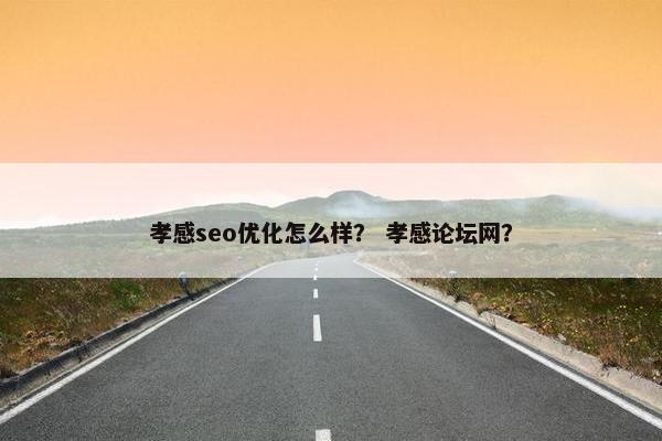 孝感seo优化怎么样？ 孝感论坛网？