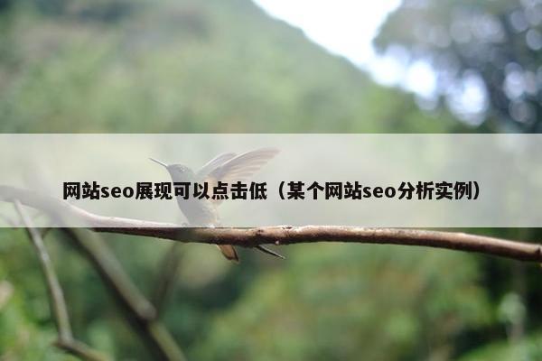 网站seo展现可以点击低（某个网站seo分析实例）