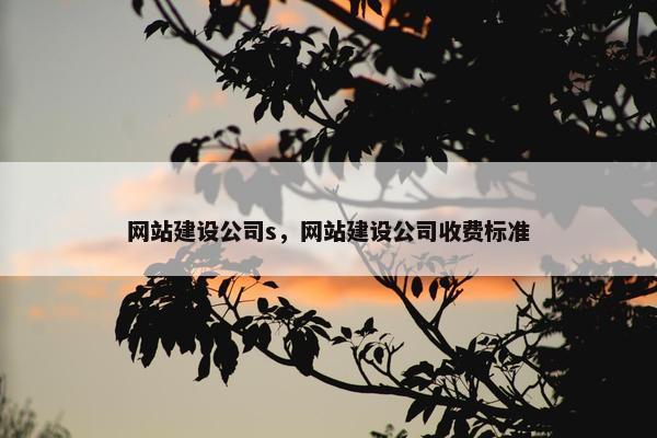 网站建设公司s，网站建设公司收费标准