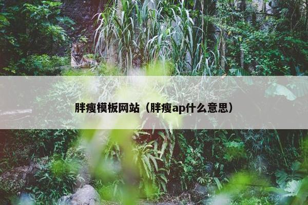 胖瘦模板网站（胖瘦ap什么意思）