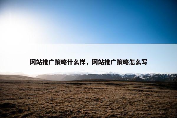 网站推广策略什么样，网站推广策略怎么写