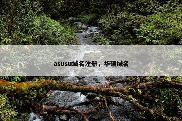 asusu域名注册，华硕域名
