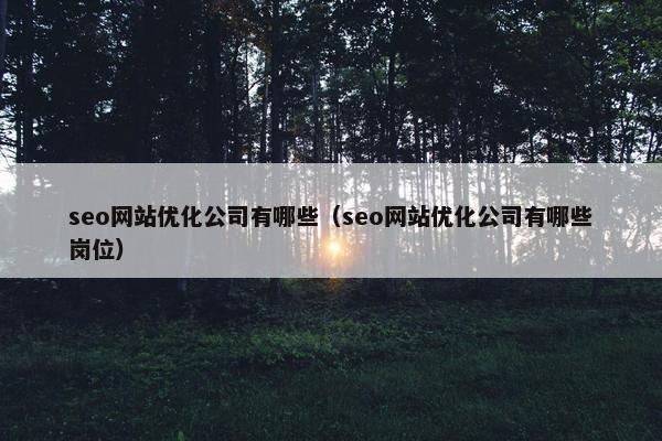 seo网站优化公司有哪些（seo网站优化公司有哪些岗位）