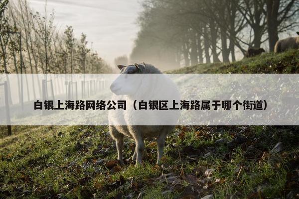 白银上海路网络公司（白银区上海路属于哪个街道）