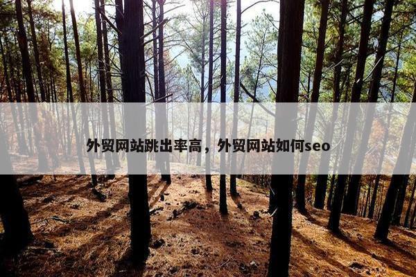 外贸网站跳出率高，外贸网站如何seo