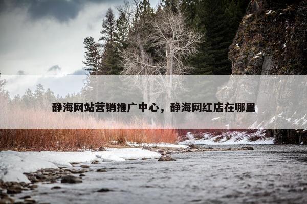 静海网站营销推广中心，静海网红店在哪里