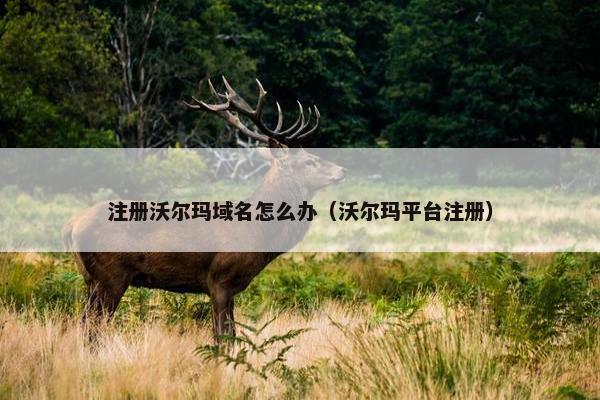 注册沃尔玛域名怎么办（沃尔玛平台注册）