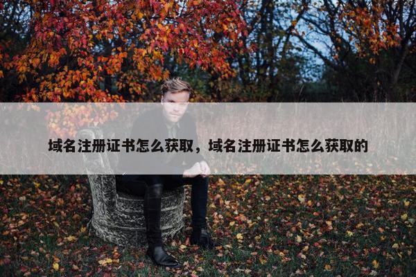 域名注册证书怎么获取，域名注册证书怎么获取的