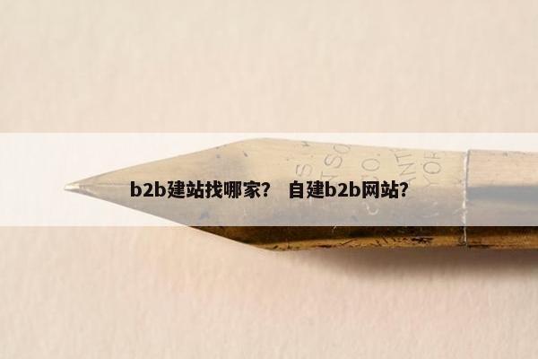 b2b建站找哪家？ 自建b2b网站？