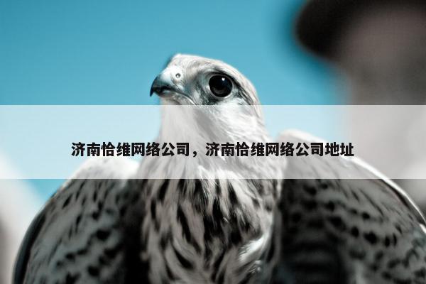济南恰维网络公司，济南恰维网络公司地址