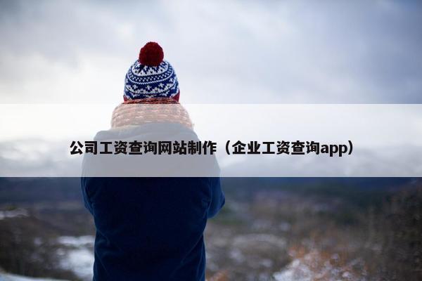 公司工资查询网站制作（企业工资查询app）