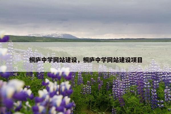 桐庐中学网站建设，桐庐中学网站建设项目