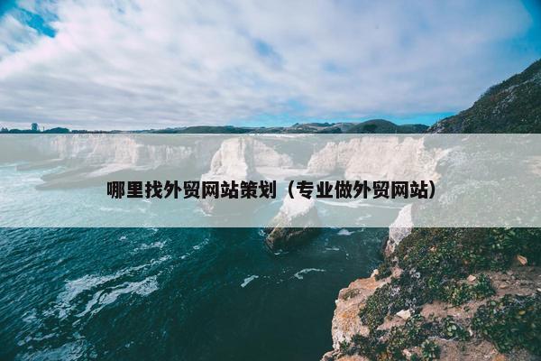 哪里找外贸网站策划（专业做外贸网站）