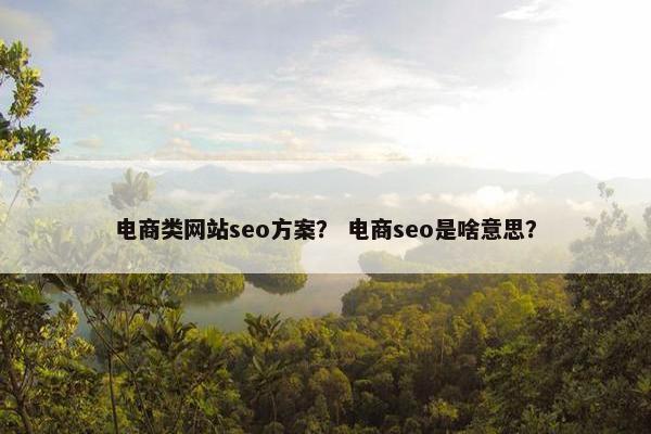 电商类网站seo方案？ 电商seo是啥意思？
