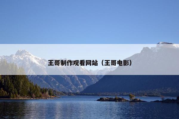 王哥制作观看网站（王哥电影）