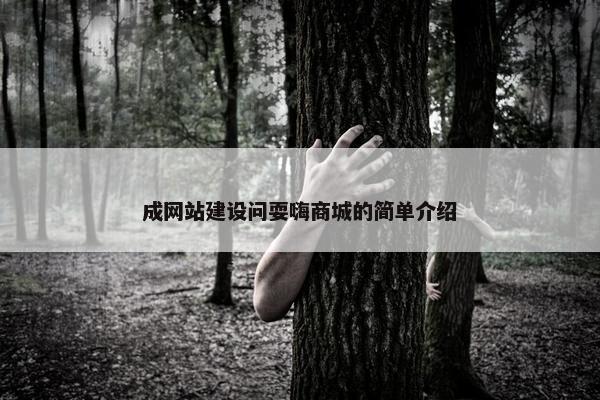 成网站建设问耍嗨商城的简单介绍