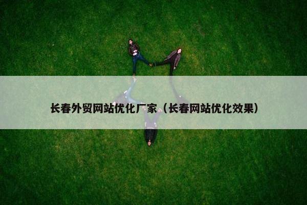 长春外贸网站优化厂家（长春网站优化效果）