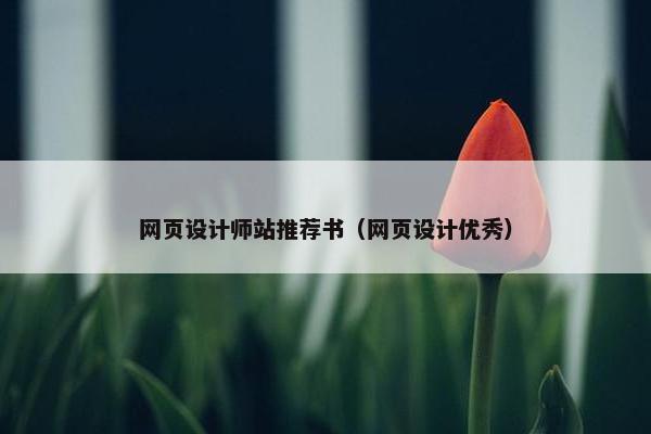 网页设计师站推荐书（网页设计优秀）