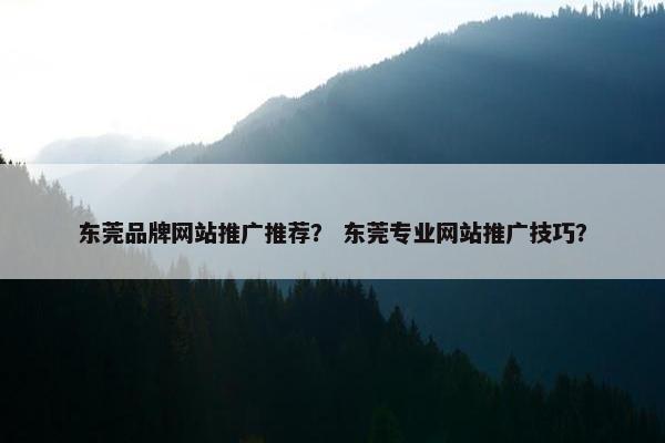 东莞品牌网站推广推荐？ 东莞专业网站推广技巧？