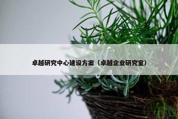 卓越研究中心建设方案（卓越企业研究室）