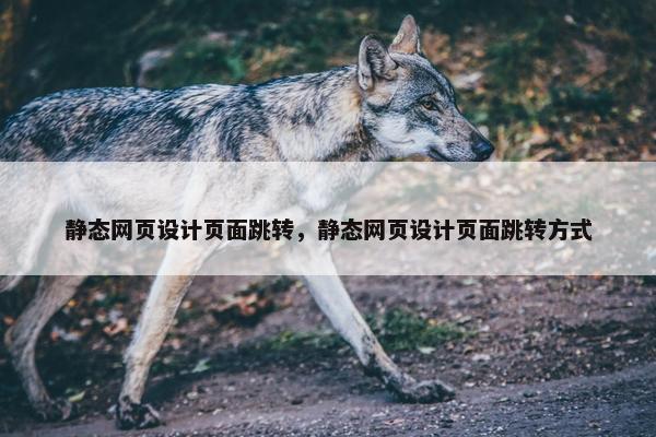 静态网页设计页面跳转，静态网页设计页面跳转方式