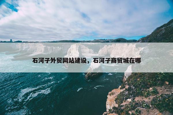 石河子外贸网站建设，石河子商贸城在哪