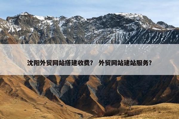 沈阳外贸网站搭建收费？ 外贸网站建站服务？
