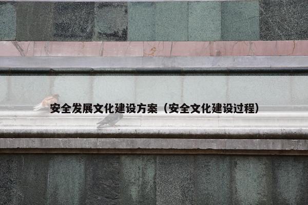 安全发展文化建设方案（安全文化建设过程）