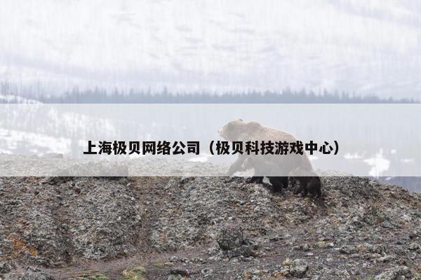 上海极贝网络公司（极贝科技游戏中心）