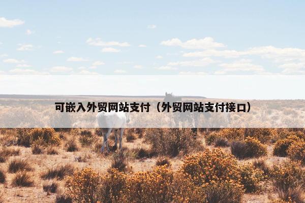 可嵌入外贸网站支付（外贸网站支付接口）