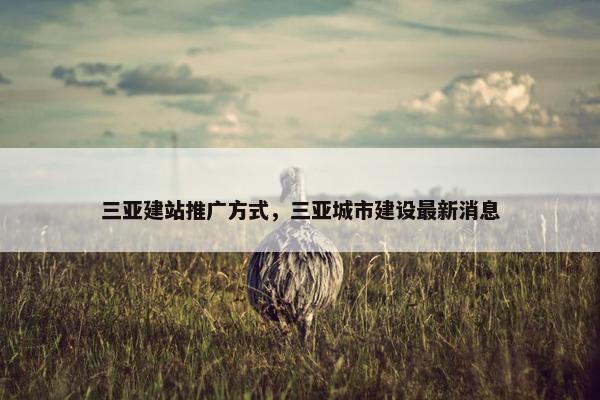 三亚建站推广方式，三亚城市建设最新消息