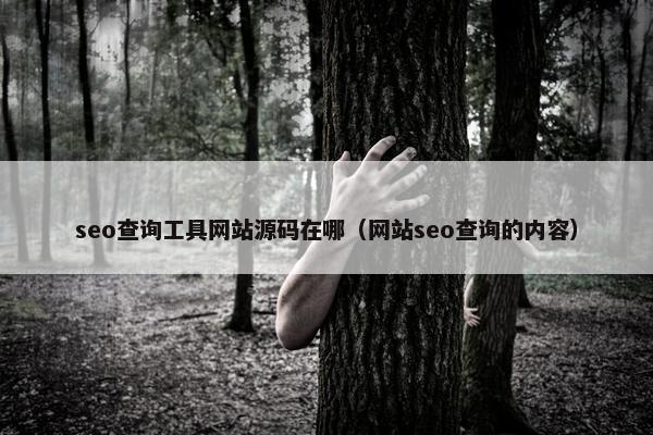 seo查询工具网站源码在哪（网站seo查询的内容）