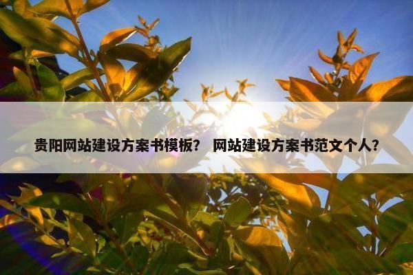 贵阳网站建设方案书模板？ 网站建设方案书范文个人？