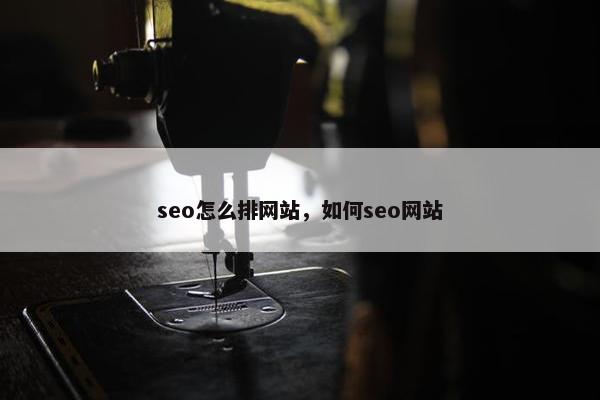 seo怎么排网站，如何seo网站