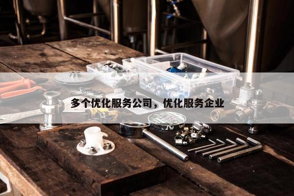 多个优化服务公司，优化服务企业
