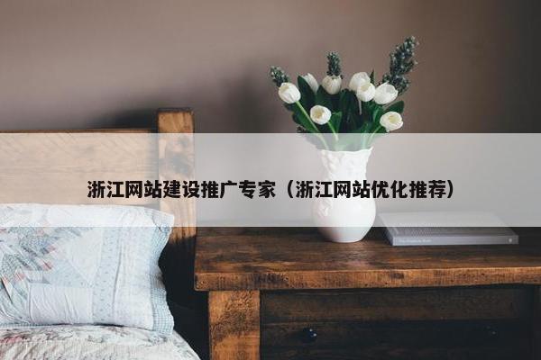 浙江网站建设推广专家（浙江网站优化推荐）