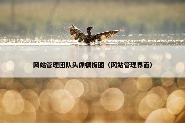 网站管理团队头像模板图（网站管理界面）
